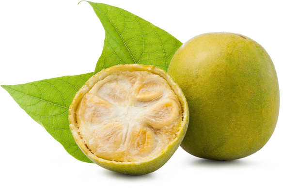 Sweetism sweetener monk fruit isolated photography